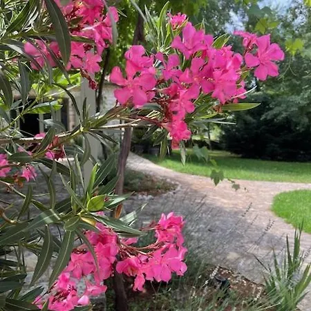 Stancia Cicada- At In Istria Villa